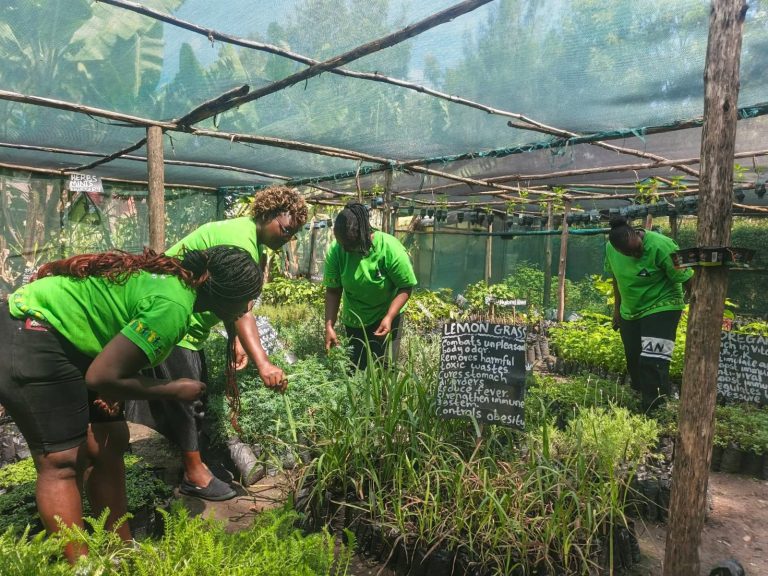 Economic Inclusion